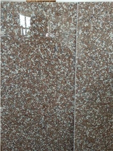 Polished Luoyuan Red G664 Granite Tiles for Sale Polished Luoyuan Red G664 Granite Tiles for Sale
