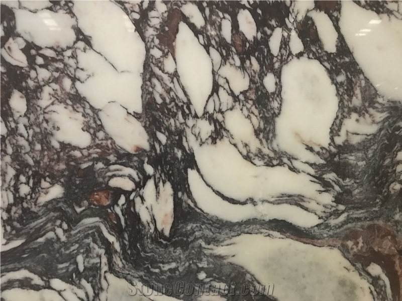 Polished Natural Calacatta Violet Marble Slabs
