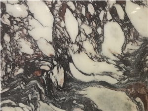 Polished Natural Calacatta Violet Marble Slabs