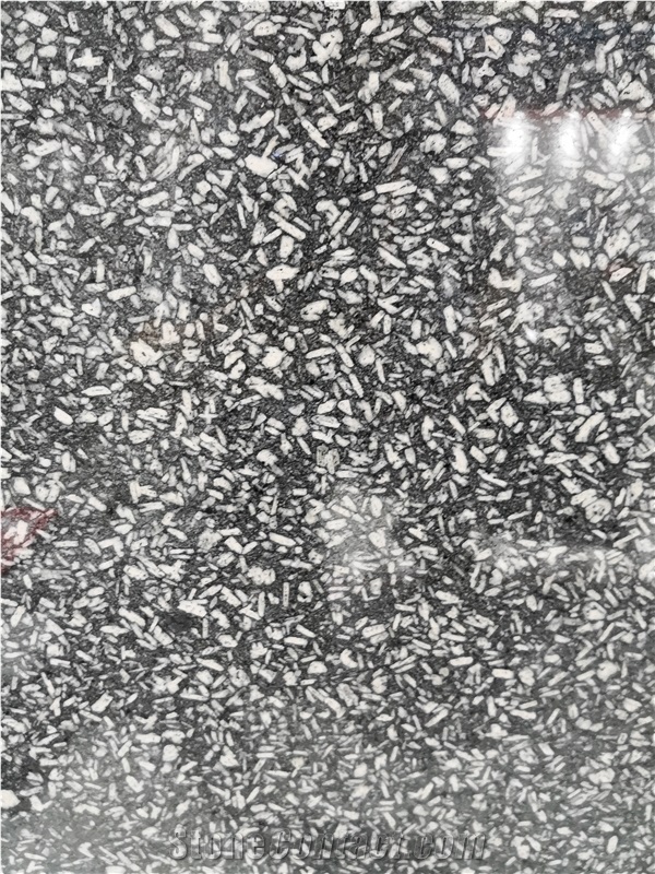 China Ice Snow Black Granite Slab Tile Price