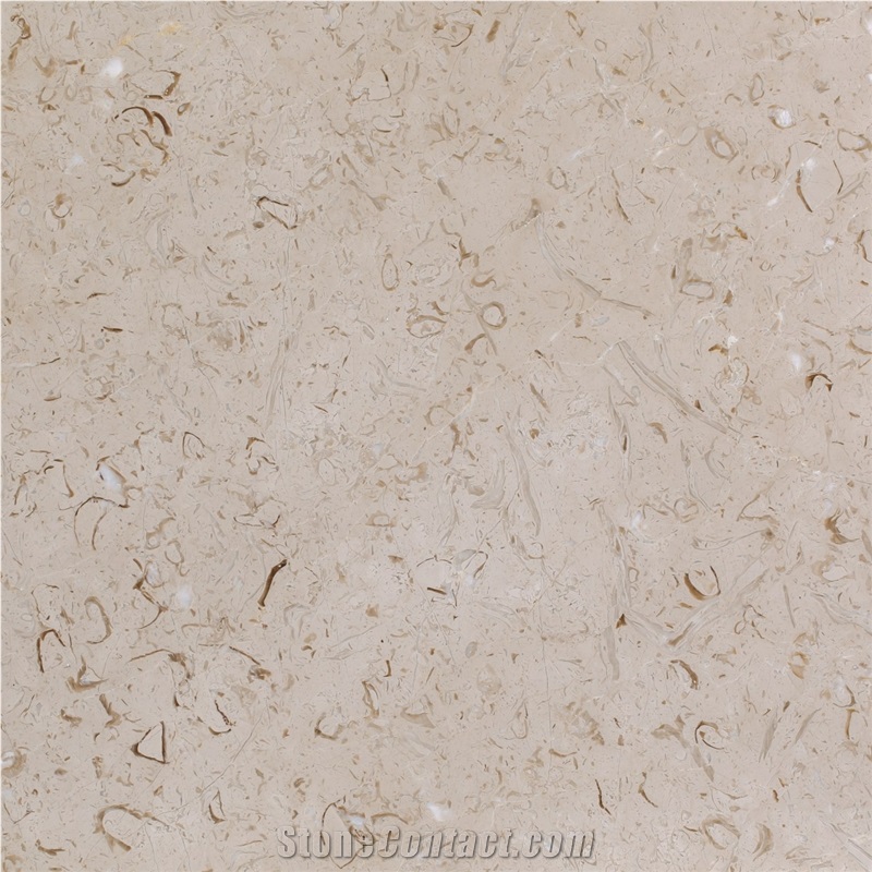Fossil Beige Marble Block, Iran Beige Marble