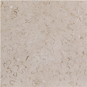 Fossil Beige Marble Block, Iran Beige Marble