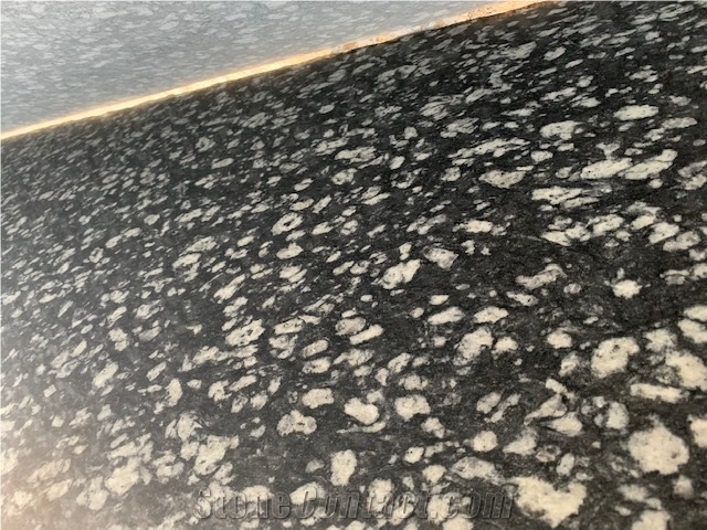 Coin Black Granite Tiles & Slab