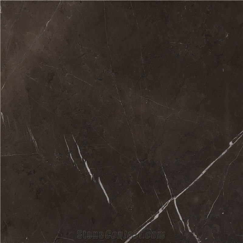 Pietra Gray Marble Tiles, Slab