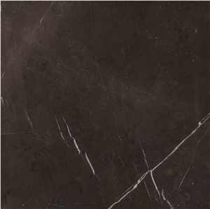 Pietra Gray Marble Tiles, Slab