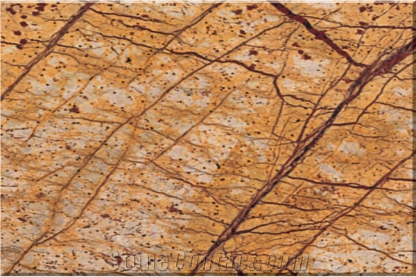 Tropical Rainforest Marble Slabs