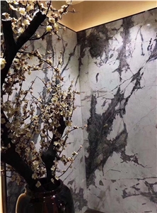 Turkey White Iceberg Marble for Wall