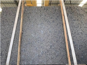 China Phoenix Diamond Grey Granite Slabs & Tiles