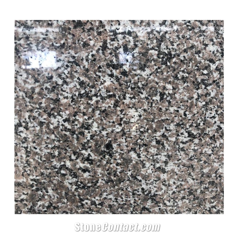 New G654 Granite Slabs for Wall and Floor Tiles