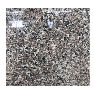 New G654 Granite Slabs for Wall and Floor Tiles