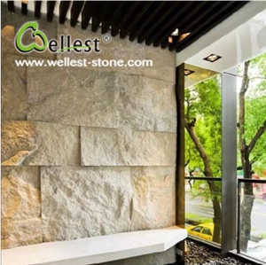 White/ Beige Travertine Mushstone Wall Decoration
