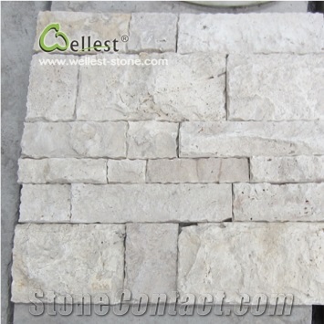 White/ Beige Travertine Mushstone Wall Decoration