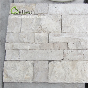 White/ Beige Travertine Mushstone Wall Decoration