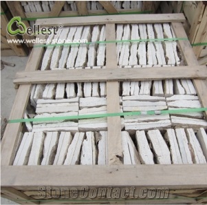 White/ Beige Travertine Mushstone Wall Decoration