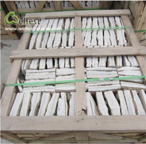 White/ Beige Travertine Mushstone Wall Decoration