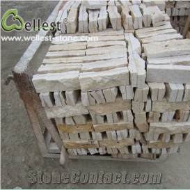 White/ Beige Travertine Mushstone Wall Decoration