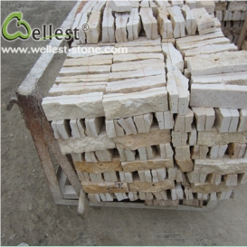 White/ Beige Travertine Mushstone Wall Decoration