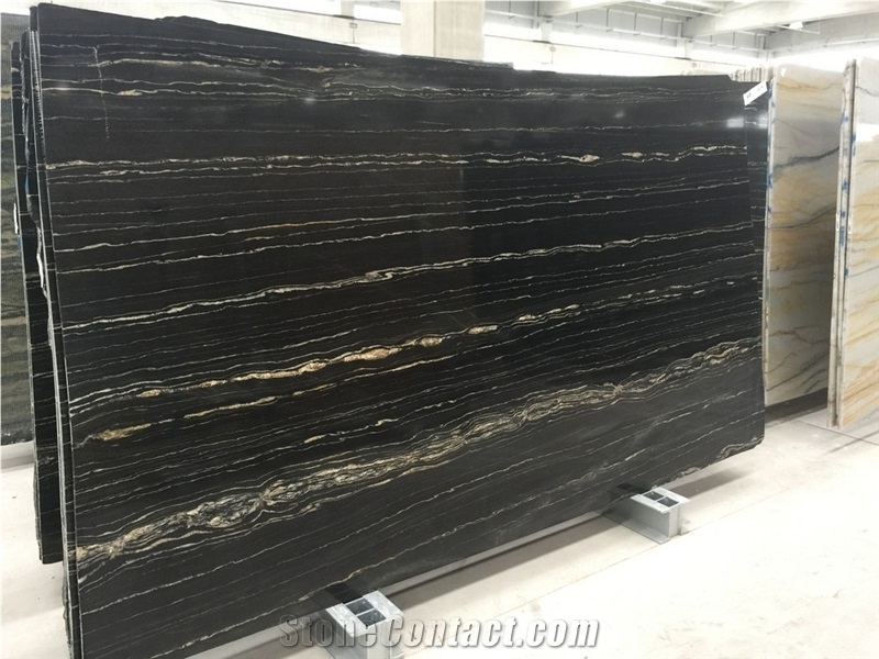 Tropical Storm - Portoro Quartzite Slabs, Angola Black Quartzite