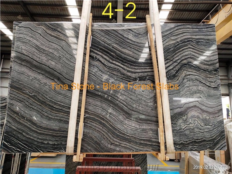 Black Forest Cross Vein Marble Tiles Slabs Wall