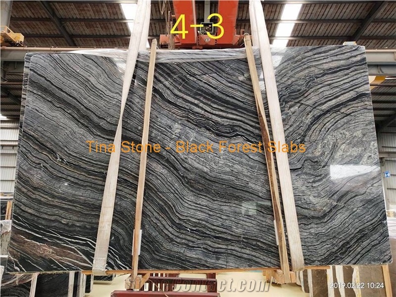 Black Forest Cross Vein Marble Tiles Slabs Wall
