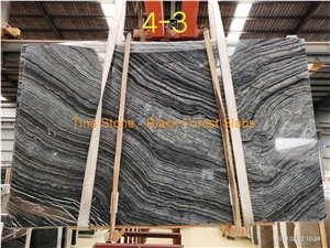 Black Forest Cross Vein Marble Tiles Slabs Wall