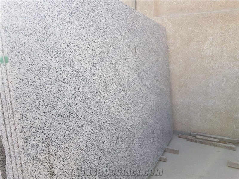 Bianco Halayeb Granite Slabs