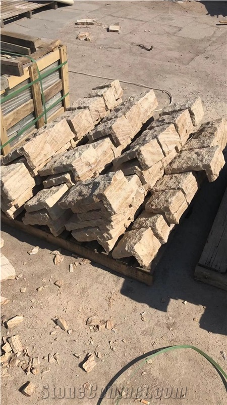 Wooden Veins Sandstone Irregular Shape Tiles
