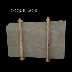 Coquillage, Green and Gray Limestone Slabs