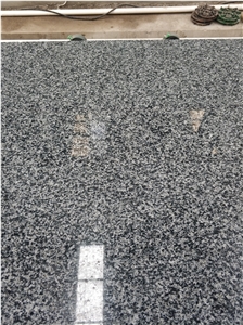 G654 Black Granite Stone Dark Grey Slabs