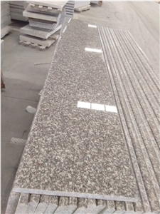 Steps G664 Original Bullnose Steps