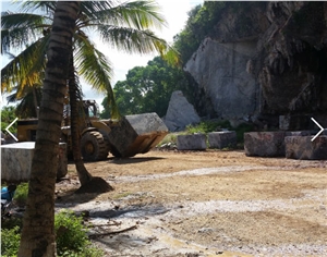 Caribbean Portoro Gold Marble Blocks
