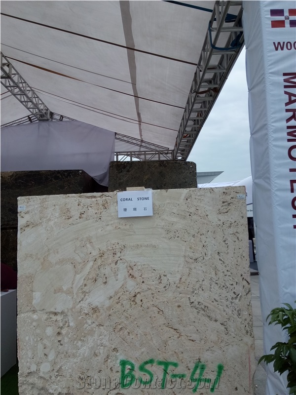 Coralina Beige Coral Stone Blocks