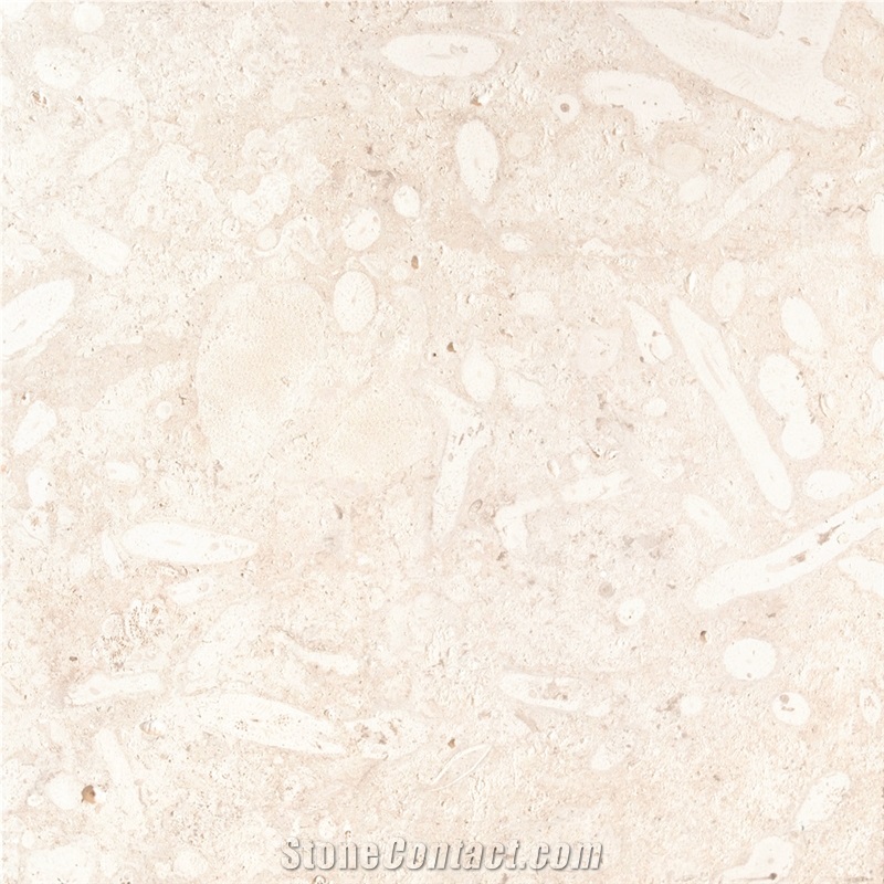Palladium Coral Stone Tiles
