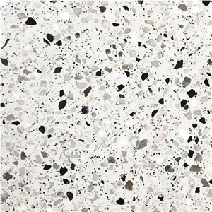 Ttg Terrazzo Tile N42