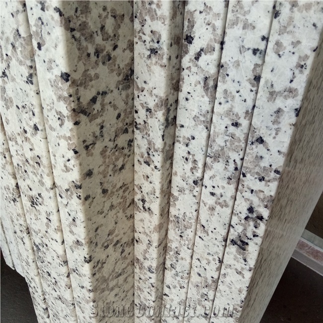 China Bala White Granite Countertop Slabs Price
