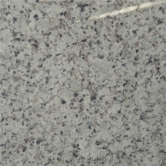 China Bala White Granite Countertop Slabs Price
