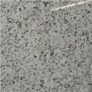 China Bala White Granite Countertop Slabs Price