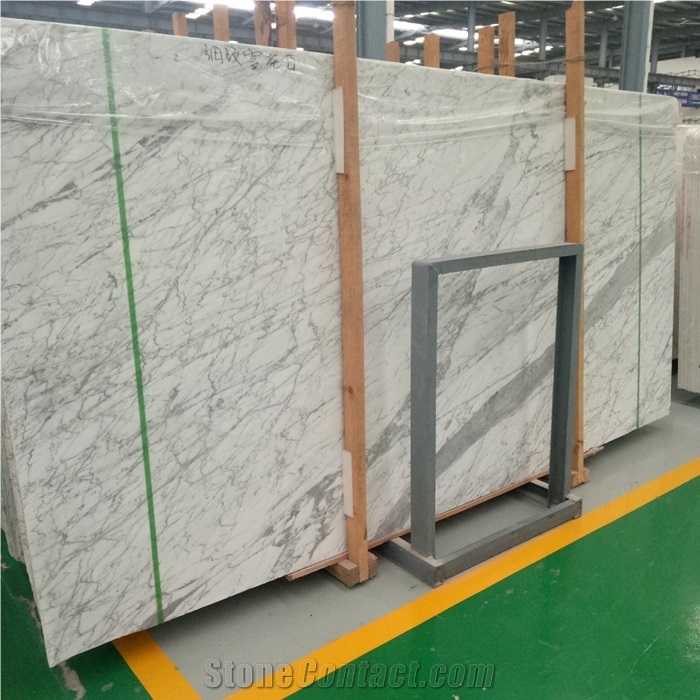 Natural Arabescato White Marble Slab for Interior