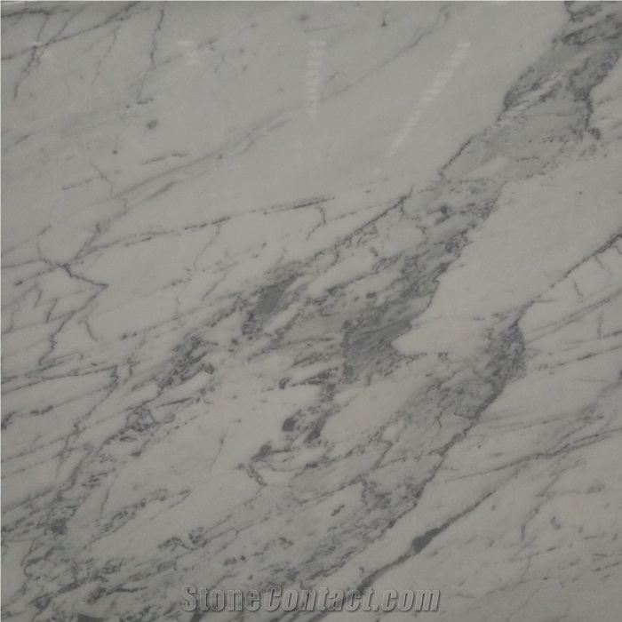 Natural Arabescato White Marble Slab for Interior