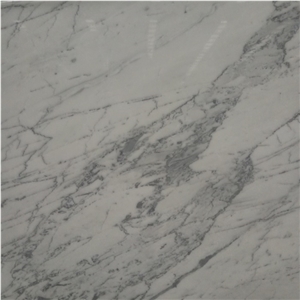 Natural Arabescato White Marble Slab for Interior