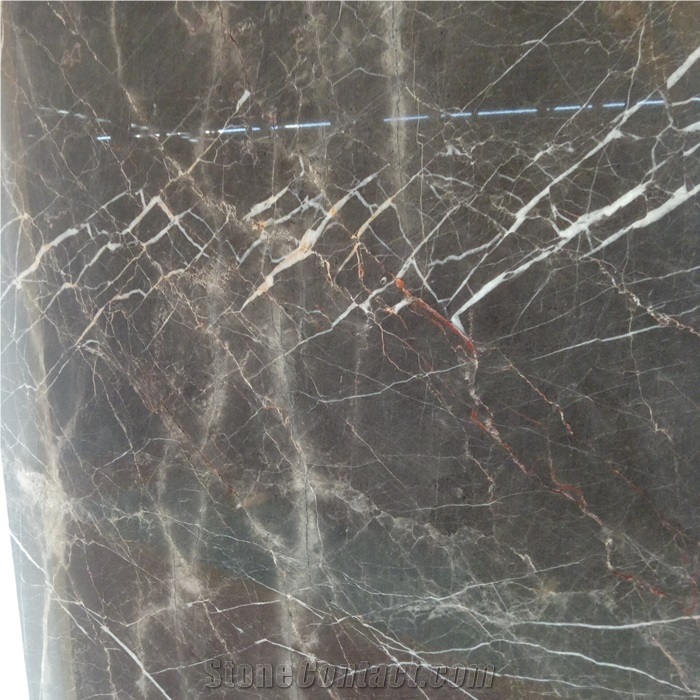 Noir St Laurent Brown Marble Slabs for Indoor