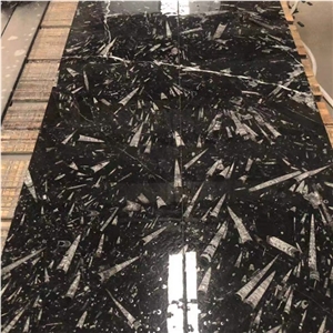 Polished Black Moroccan Fossil Stone Slab