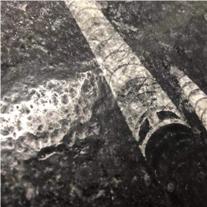 Polished Black Moroccan Fossil Stone Slab