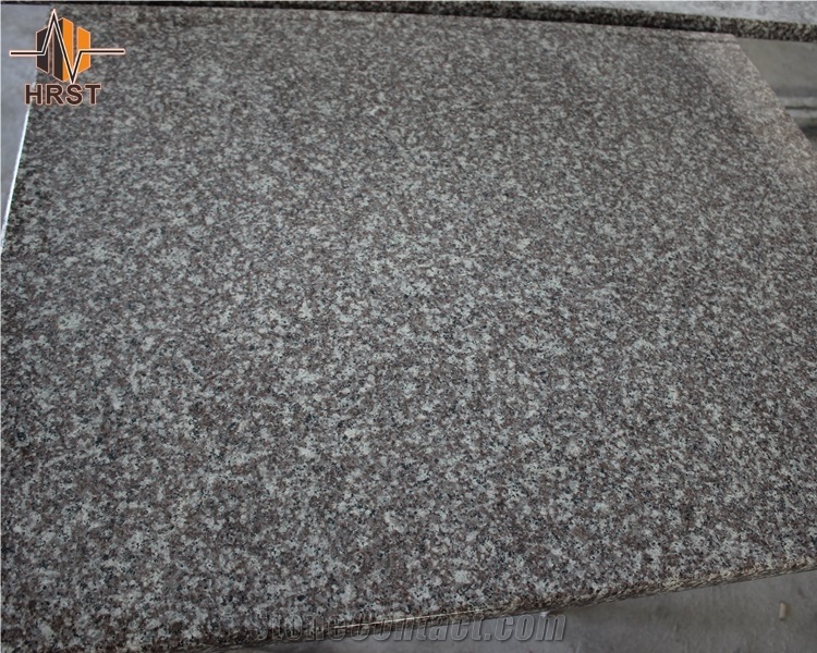 Precut Cheap Price G657 Rosa Granite Kitchen