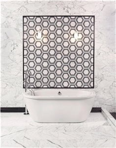 Carrara Thassos Polished Hexagon Marble Mosaic