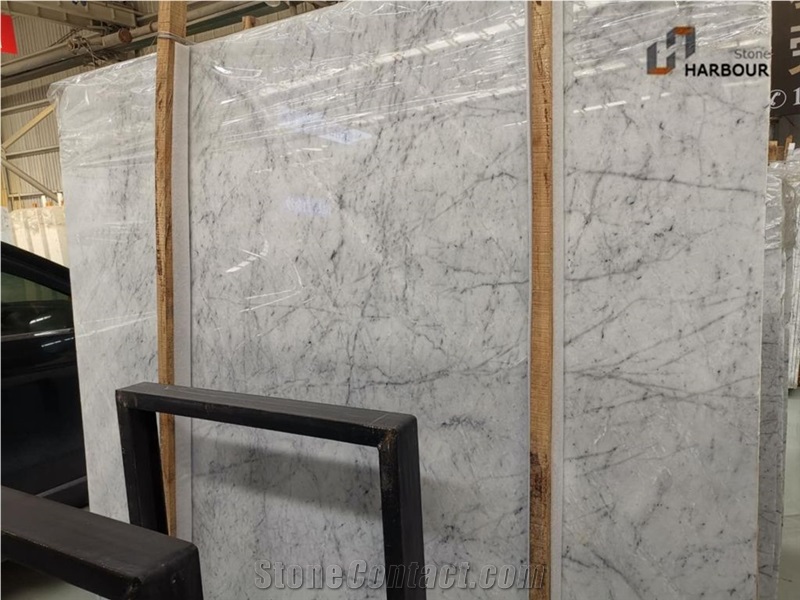 Bens White Marble Slab White Marble with Grey Vein