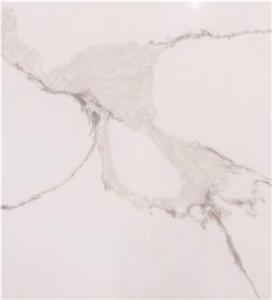 Calacatta White Quartz for Kitchen Countertops