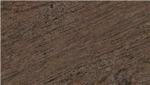 Ikon Brown Ikon Brown