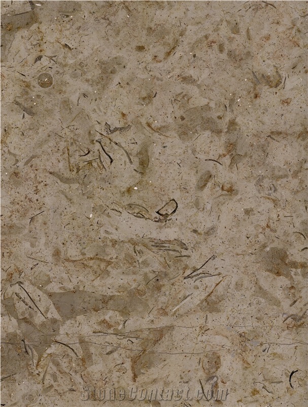 Catrina Grey Marble Slabs, Tiles
