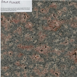 Bala Flower Granite Bala Flower Granite